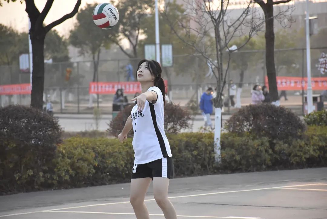 d7a20fb8683e178a3e24fab7ed15e574